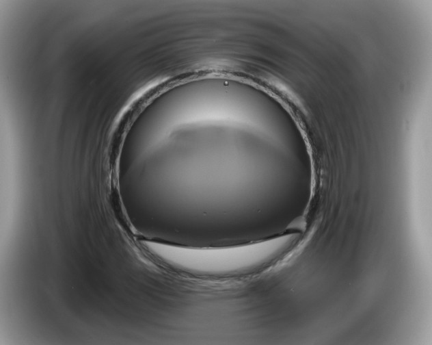 X0000086221117200704121852