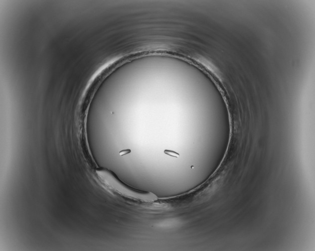 X0000086221119200704121852