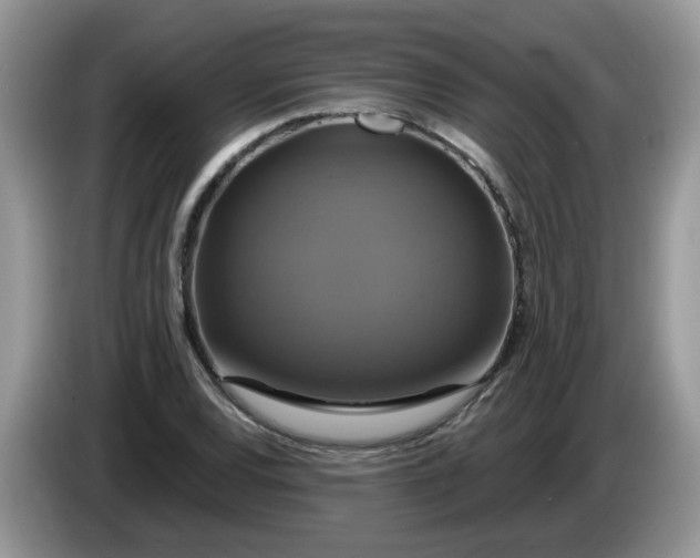 X0000086221120200704121852