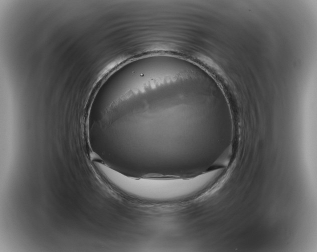 X0000086221121200704121852