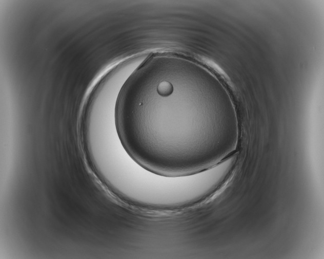 X0000086221122200704121852