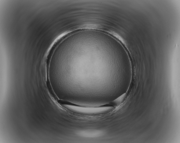 X0000086221123200704121852