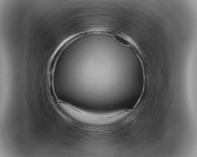 X0000086221124200704121852