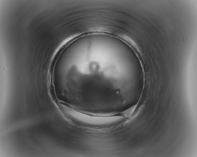 X0000086221125200704121852