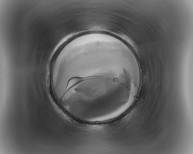 X0000086221126200704121852