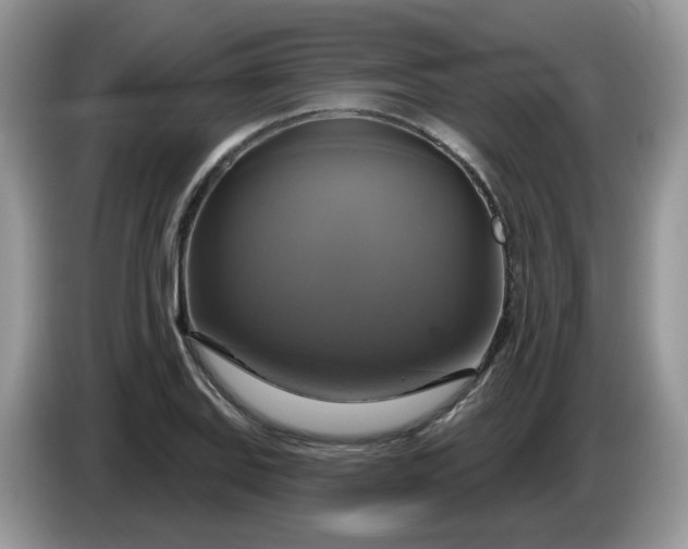 X0000086221127200704121852