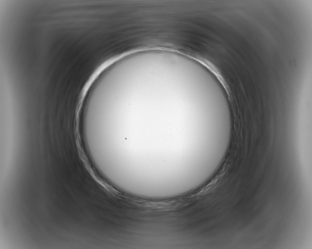 X0000086221128200704121852