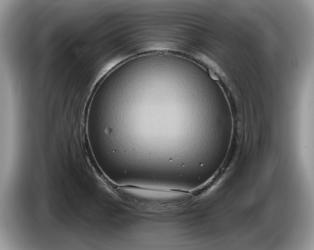 X0000086221129200704121852