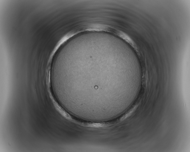 X0000086221130200704121852