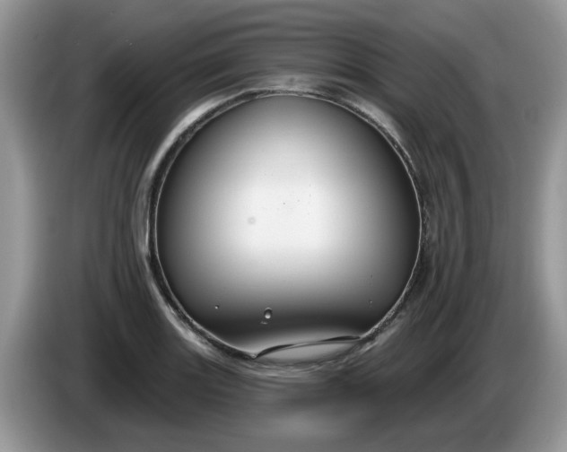 X0000086221131200704121852