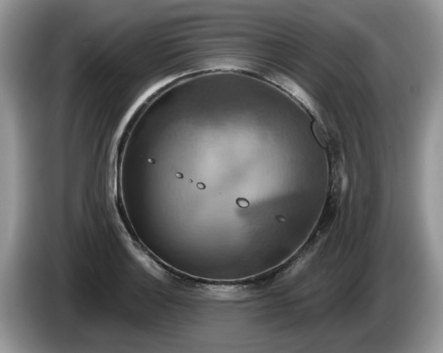 X0000086221132200704121852