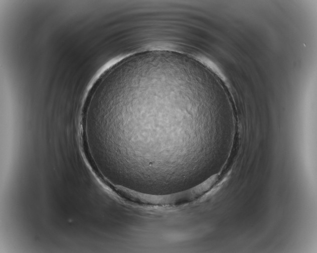 X0000086221133200704121852