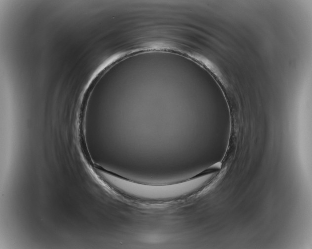 X0000086221134200704121852