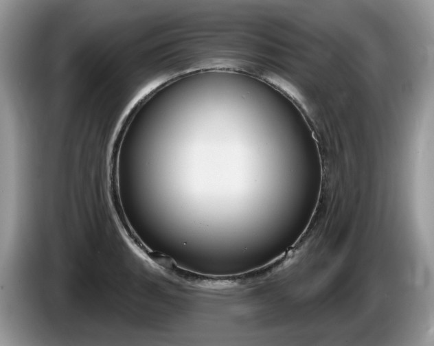 X0000086221135200704121852