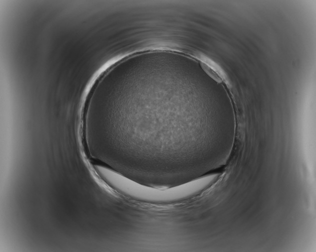 X0000086221136200704121852