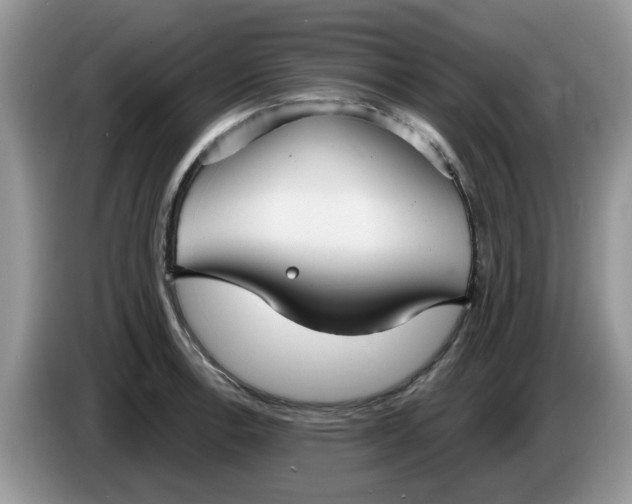 X0000086221138200704121852