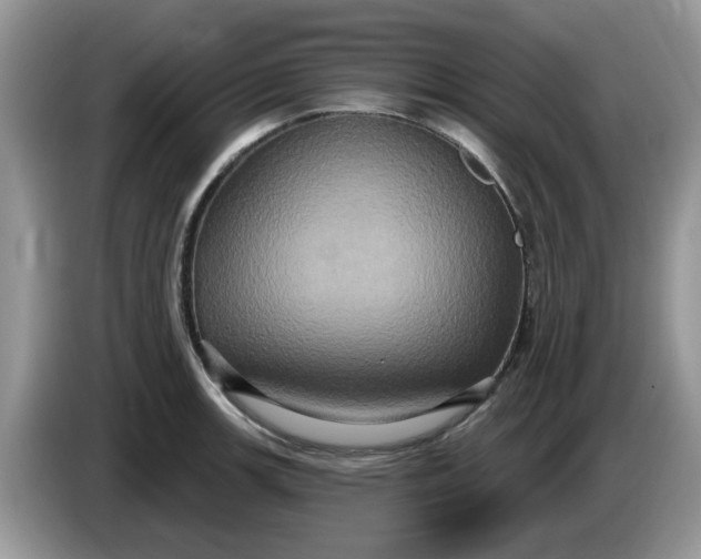 X0000086221139200704121852