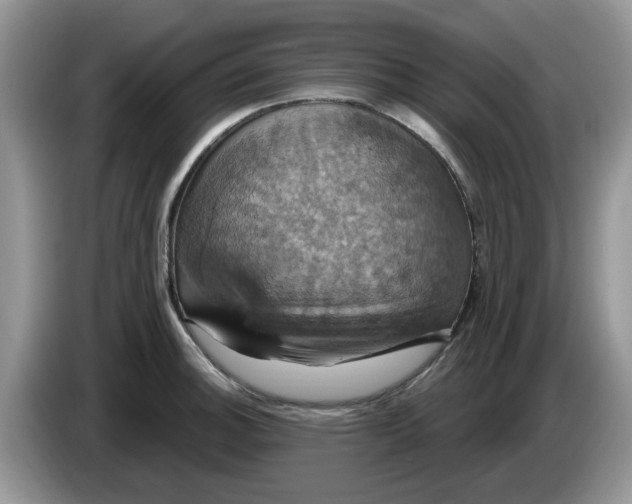 X0000086221140200704121852