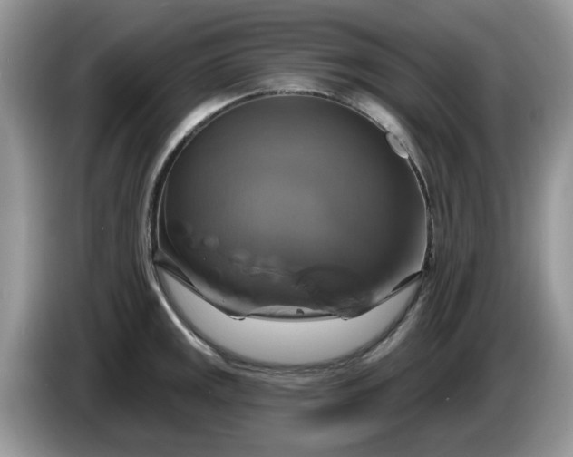 X0000086221141200704121852