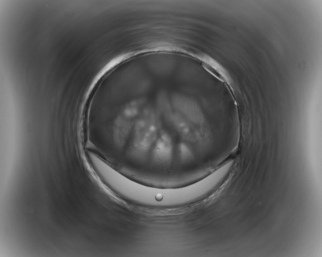 X0000086221142200704121852