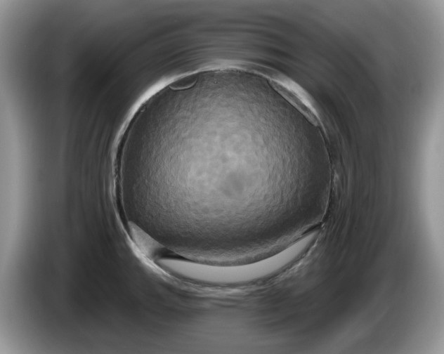 X0000086221143200704121852