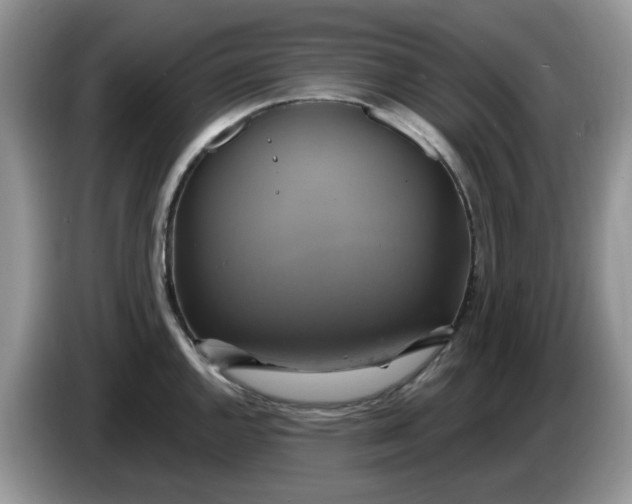 X0000086221144200704121852