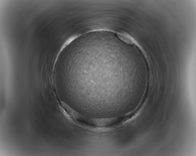 X0000086221145200704121852