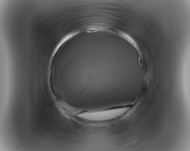 X0000086221146200704121852