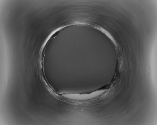 X0000086221148200704121852