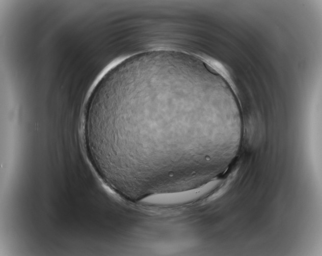 X0000086221149200704121852