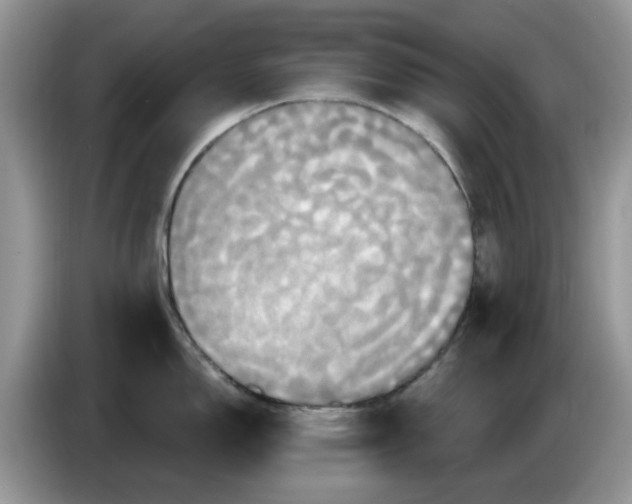 X0000086221150200704121852