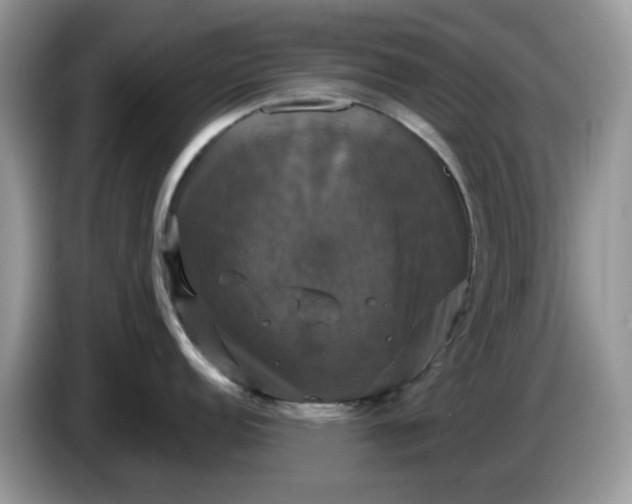 X0000086221152200704121852