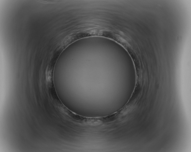 X0000086221154200704121852