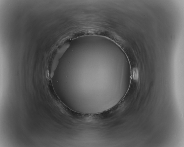 X0000086221155200704121852