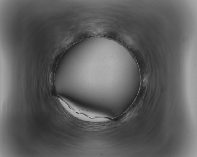 X0000086221156200704121852