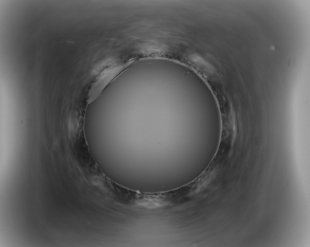 X0000086221157200704121852