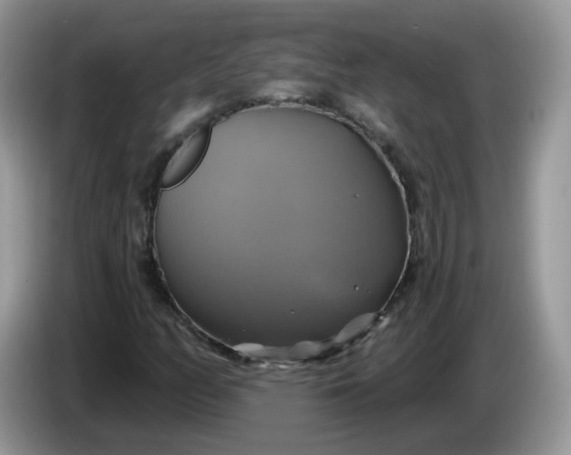 X0000086221158200704121852