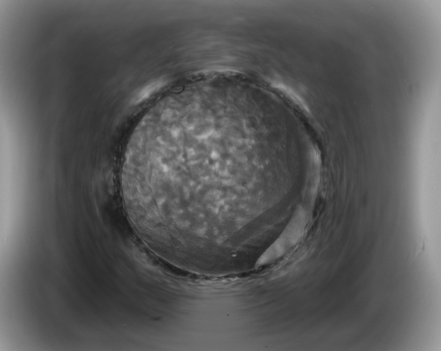 X0000086221159200704121852