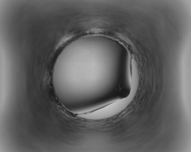 X0000086221160200704121852