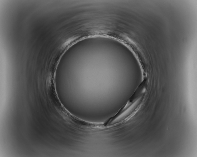 X0000086221161200704121852