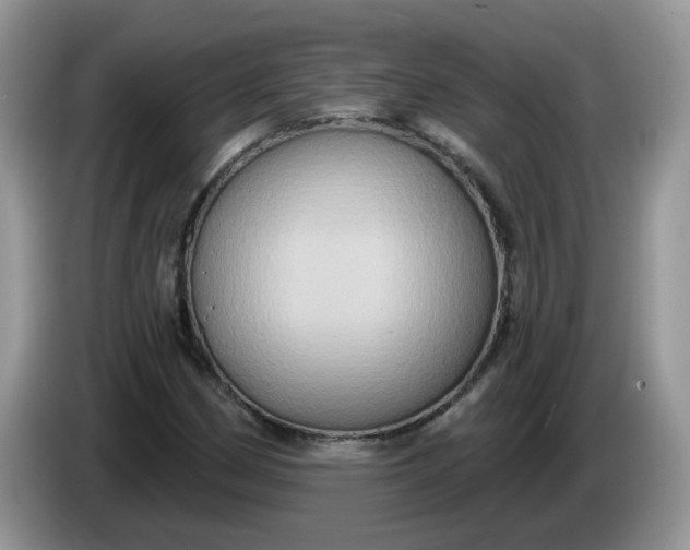 X0000086221162200704121852