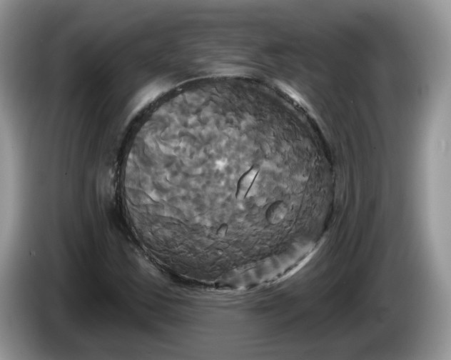 X0000086221163200704121852