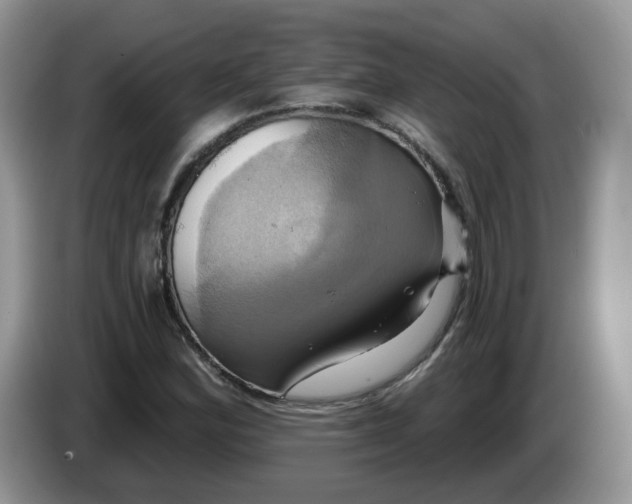 X0000086221164200704121852