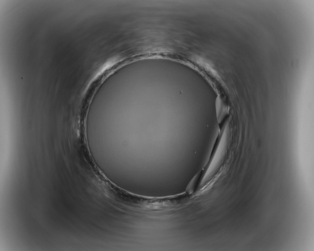 X0000086221165200704121852