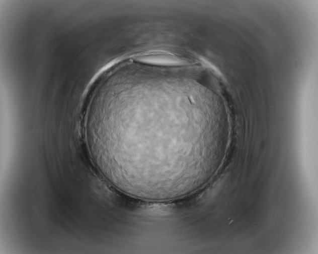 X0000086221166200704121852