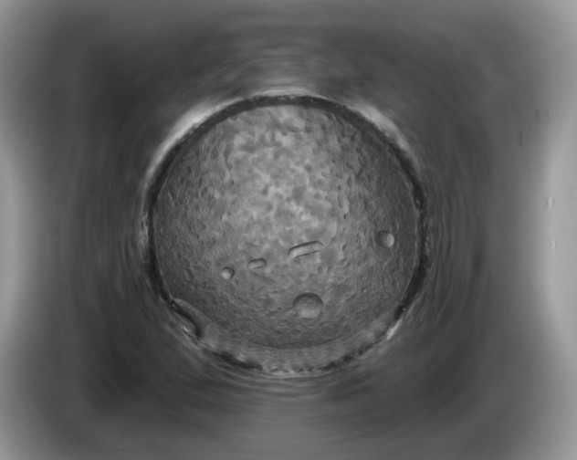 X0000086221167200704121852