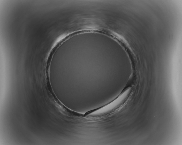 X0000086221168200704121852