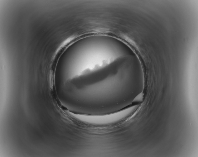 X0000086221171200704121852