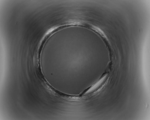 X0000086221172200704121852