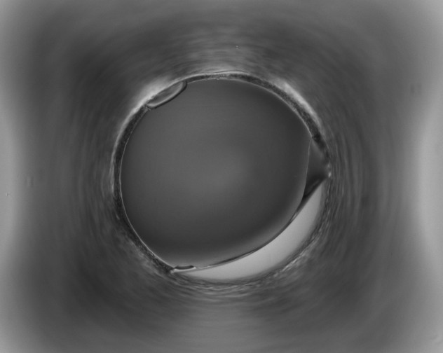 X0000086221173200704121852